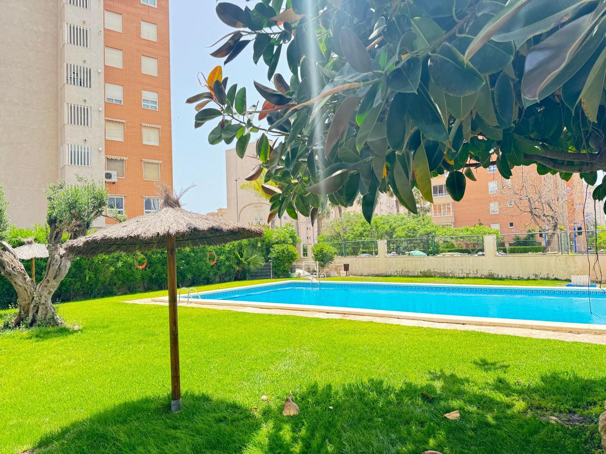 Estudio Con Piscina Alicante Exterior foto